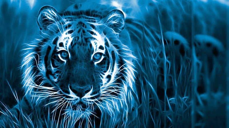 <br />
Как встретить Новый год 2022, чтобы получить одобрение Водяного Тигра                