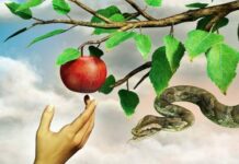 Как знак зодиака влияет на характер человека и можно ли противостоять воздействию звезд