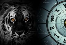 Каким знакам зодиака Черный Водяной Тигр принесет удачу в 2022 году