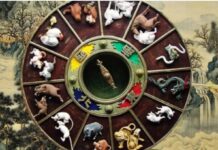 Китайский гороскоп на неделю с 8 по 14 ноября 2021 года