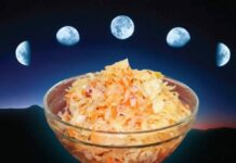 Когда солить капусту в ноябре 2021 года по лунному календарю, чтобы она была вкусной и хрустящей