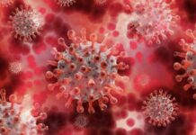 Коронавирус штаммов «Мю» и «Лямбда» уже на территории России