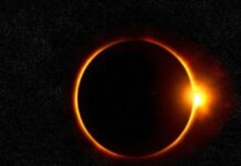 Лунное затмение и полнолуние: что нельзя делать сегодня, 19 ноября 2021 года