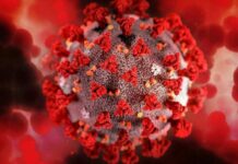 Новый вызов для человечества: штамм COVID-19 из ЮАР имеет 32 мутации