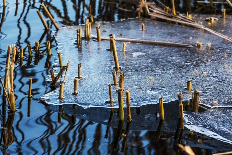 <br />
Павел Ледостав 19 ноября: как на Руси рыбаки задабривали водяного и определяли по льду будущий урожай                