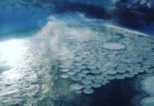 Павел Ледостав 19 ноября: как на Руси рыбаки задабривали водяного и определяли по льду будущий урожай