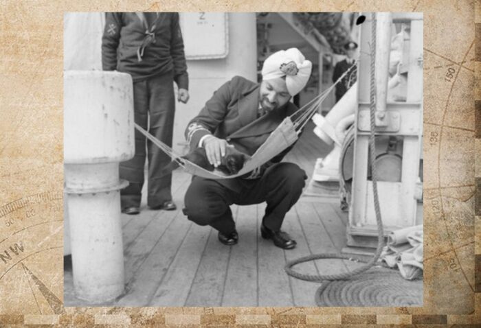 Почему моряки считали корабельных котов полноправными членами экипажа
