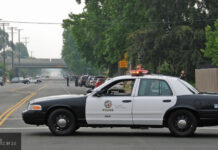 Полицейский в США испугался лопаты и расстрелял державшую ее женщину