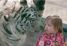 Ребенок-«тигренок»: какими чертами характера будут обладать дети, рожденные в год Голубого Водяного Тигра