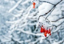 Традиции и приметы народного праздника Матрена Зимняя, отмечаемого 22 ноября 2021 года