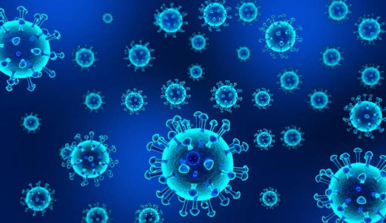 <br />
В 2021 году без коронавируса: в каких странах нет COVID-19                