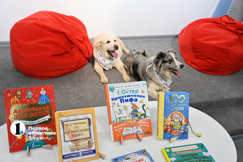 В челябинских библиотеках проводят уроки чтения с собаками