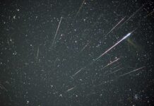 В чем особенность звездопада Леониды: где и когда его можно увидеть в 2021 году