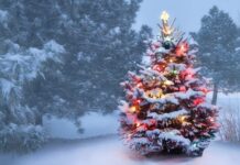 В Госдуме прокомментировали возможную отмену новогодних праздников в 2022 году