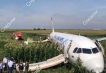 В «Уральских авиалиниях» рассказали о судьбе севшего в поле Airbus