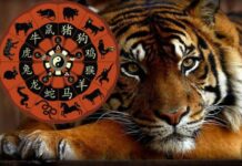 Восточный гороскоп на 2022 год Тигра для всех знаков китайского зодиака