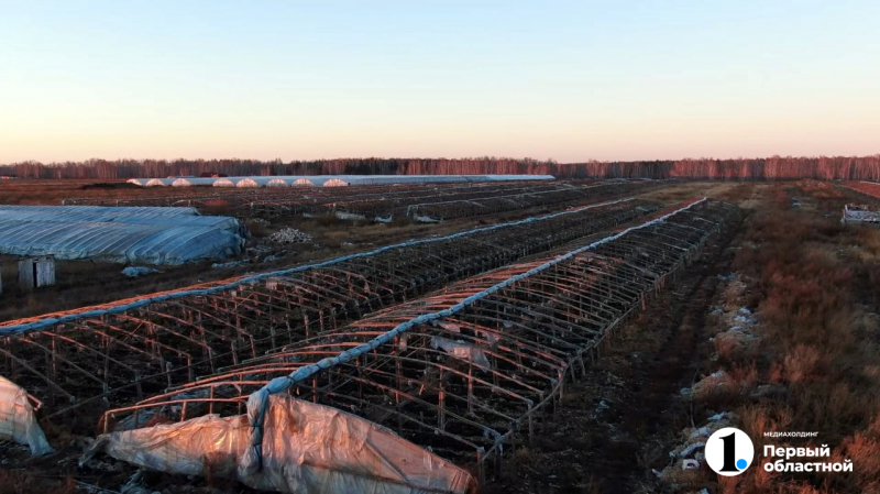 Заброшенные теплицы под Челябинском будут сносить еще пять лет