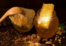 Зачем на День Якова 5 ноября на Руси устраивали пчелиные игры и разбрасывали по полю вчерашний хлеб