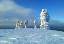 Жителей Республики Коми успокоили: с 1 января их региональным льготам ничего не угрожает