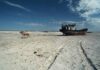 Аральское море: путь длиной в 140 лет от величественного водоема до ядовитой пустыни
