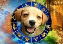 Астропрогноз для всех знаков зодиака на неделю с 13 по 19 декабря