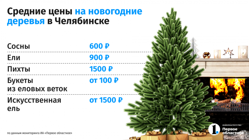 Цены на новогодние елки в Челябинске выросли почти в 1,5 раза