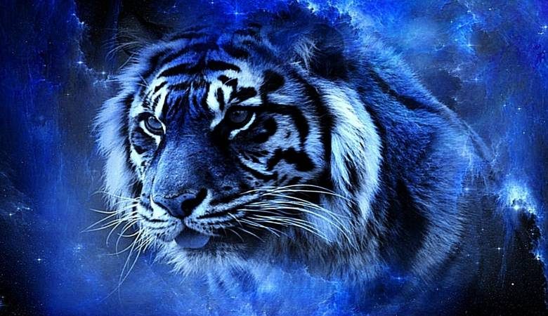 <br />
Чего не стоит ожидать от 2022 года: пять мифов о Водяном Тигре                