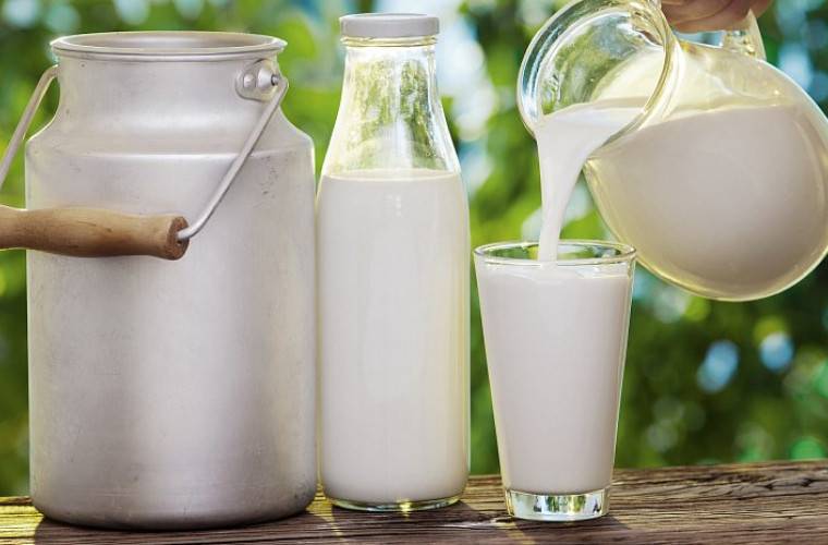 <br />
Дети, которые пьют цельное жирное молоко, на 40% реже страдают от избыточного веса                