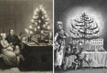 Елка, как символ Нового года: почему именно она стала главным атрибутом праздника