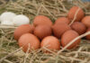 Как отличить китайские «яйца» от натуральных и не купить фальфицированные