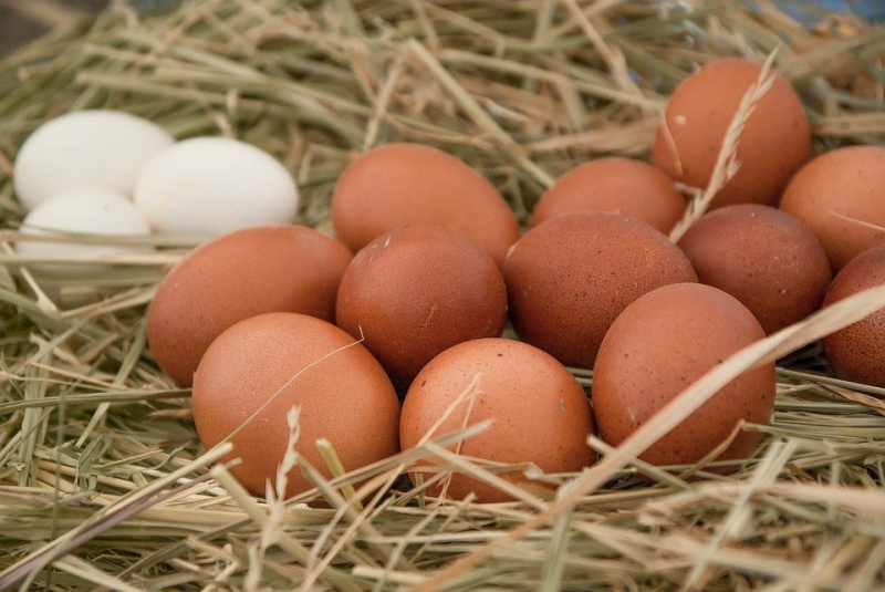 Как отличить китайские «яйца» от натуральных и не купить фальфицированные