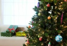 Как ухаживать за елкой, чтобы она простояла как можно дольше