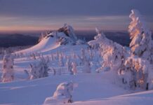 Как в день Мины 23 декабря на Руси оберегали детей от полуночниц и почему не смотрели в глаза неимущим