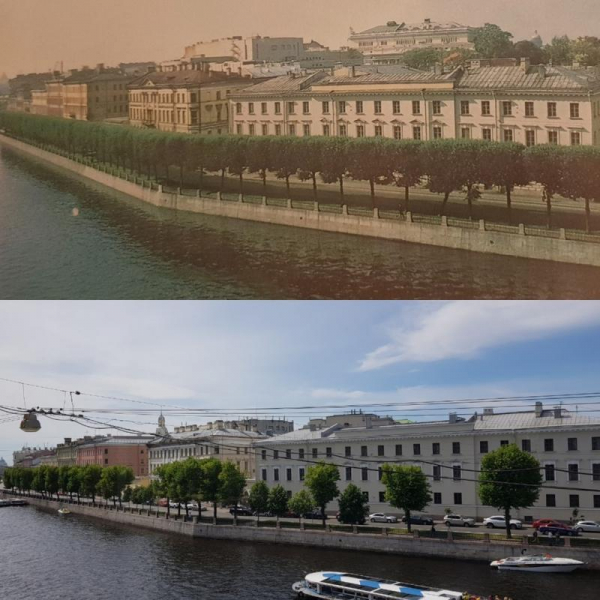 Как в Петербурге за 300 лет исчезли деревья