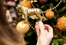 Какие перемены произойдут в жизни каждого из знаков зодиака до начала осени 2022 года