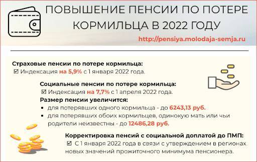 <br />
Каким будет повышение пенсии по потере кормильца в России в 2022 году                