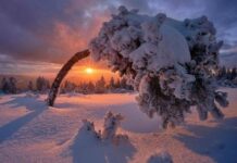 Какого числа в 2021 году будет зимнее солнцестояние