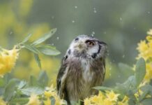 Какой церковный праздник сегодня, 14 декабря 2021 года, чтят православные