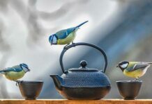 Какой праздник сегодня, 14 декабря 2021 года, отмечают в России и мире