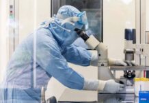 Когда закончится пандемия коронавируса и что случится с человечеством