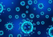 Кого преимущественно поражает новый штамм коронавируса «Омикрон»