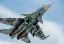 Лётчику НАТО понадобился психолог после встречи с Су-30