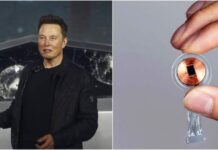 Neuralink Маска уже готов вживлять чипы в мозг человека в следующем году