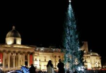Новогодняя ёлка в центре Лондона стала поводом для шуток в социальных сетях