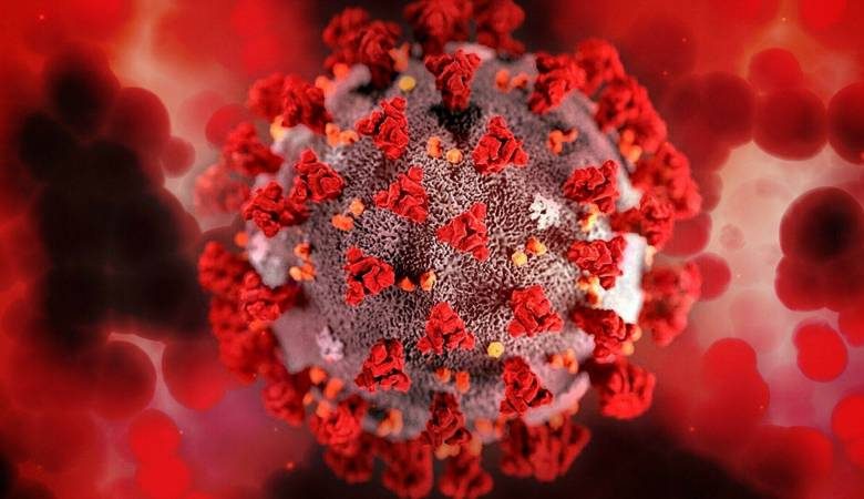 <br />
Обновленная статистика смертности от коронавируса в мире на сегодня, 26 декабря 2021 года                