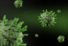 Ольга Будина опубликовала провокационное видео: «Малышевой разрешили правду?»