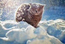 Остерегайтесь обмана и искушений: гороскоп на 22 декабря 2021 года для всех знаков зодиака