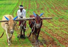 Почему индийские фермеры протестуют и перекрывают дороги