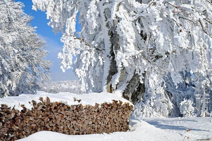 <br />
Почему на Спиридона Солнцеворота 25 декабря нельзя работать и как на Руси определяли погоду на Новый год                