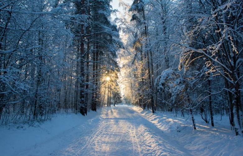 <br />
Прокопьев день 5 декабря: что наши предки пытались найти в лесу и почему не давали деньги в долг                